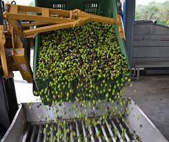 ΕΛΑΙΟΤΡΙΒΕΙΟ ΑΜΦΕΙΑ ΘΟΥΡΙΑ ΜΕΣΣΗΝΙΑ ΑΦΟΙ ΠΑΝ ΔΗΜΟΠΟΥΛΟΙ ΟΕ