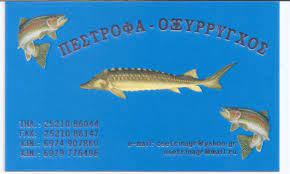 ΠΕΣΤΡΟΦΑ ΚΑΙ ΟΞΥΡΡΥΓΧΟΣ ΟΕ