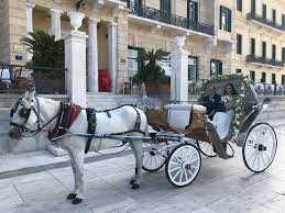 ΕΝΟΙΚΙΑΣΕΙΣ ΑΜΑΞΩΝ ΑΜΑΞΕΣ ΝΙΚΟΛΑΡΑΣ ΚΑΣΤΕΛΙ ΣΠΕΤΣΕΣ ΑΤΤΙΚΗ ΘΥΜΑΡΑΣ ΝΙΚΟΛΑΟΣ