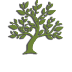 ΞΥΛΙΝΑ ΔΑΠΕΔΑ ΠΑΤΩΜΑΤΑ XILINAPATOMATA.GR ΑΙΓΑΛΕΩ ΑΤΤΙΚΗ ΓΙΑΠΟΥΤΖΗΣ ΑΠΟΣΤΟΛΟΣ