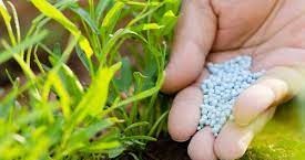 ΓΕΩΡΓΙΚΑ ΦΑΡΜΑΚΑ ΟΡΜΥΛΙΑ ΧΑΛΚΙΔΙΚΗ ΓΙΟΜΑΤΑΡΗΣ ΔΗΜΟΚΡΑΤΗΣ ΚΑΙ ΣΙΑ ΕΕ