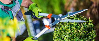 ΚΗΠΟΥΡΟΣ ΚΗΠΟΤΕΧΝΙΚΕΣ ΕΡΓΑΣΙΕΣ ΚΑΛΛΙΘΕΑ ΧΑΛΚΙΔΙΚΗ LETSI ARDIAN