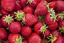 ΟΠΩΡΟΠΩΛΕΙΟ ΠΑΝΤΟΠΩΛΕΙΟ ΦΡΟΥΤΕΜΠΟΡΙΚΗ ΚΩΣ ΓΙΟΥΣΕΜ ΧΑΣΑΝ